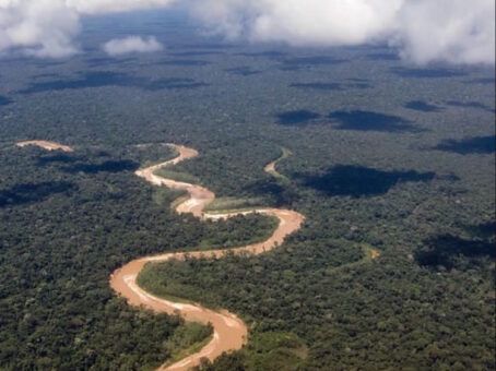 The Inkas and the Amazonia: A Complex Relationship