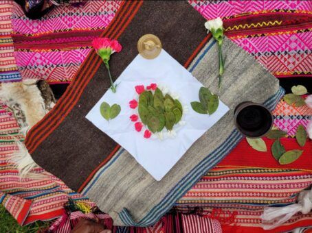 The Power of the Coca Leaf